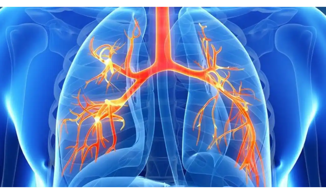 Chronic obstructive pulmonary disease  Symptoms, Causes , Diagnosis and Unknown Facts